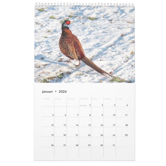 Hollandse vogels Kalender aan te passen (Jan 2026)