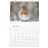 Hollandse vogels Kalender aan te passen (Mar 2027)