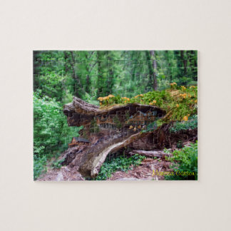 Holle Log met Houses Puzzle Legpuzzel