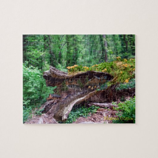 Holle Log met Houses Puzzle Legpuzzel (Horizontaal)