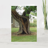 Holle Tree Kaart (Voorkant)