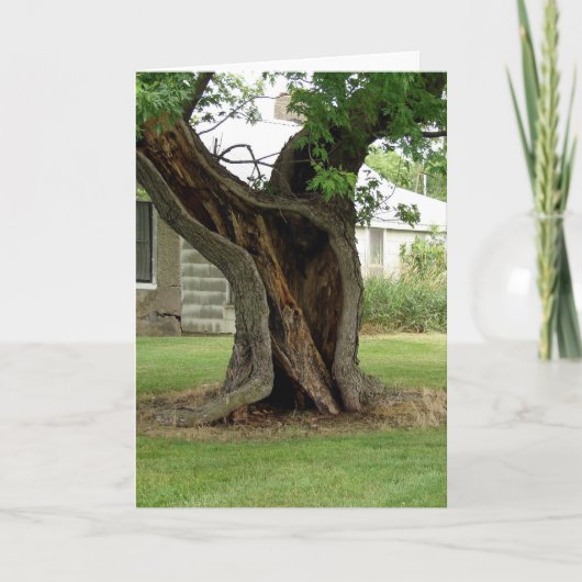 Holle Tree Kaart (Voorkant)