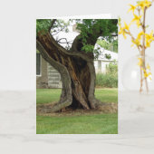 Holle Tree Kaart (Gele Bloem)