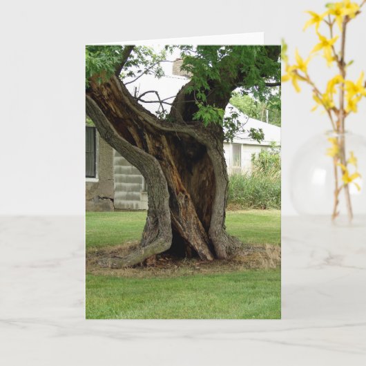 Holle Tree Kaart (Gele Bloem)