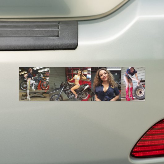 Holley, Harley, Jade & Lilli Toolbox stickers (Op auto)