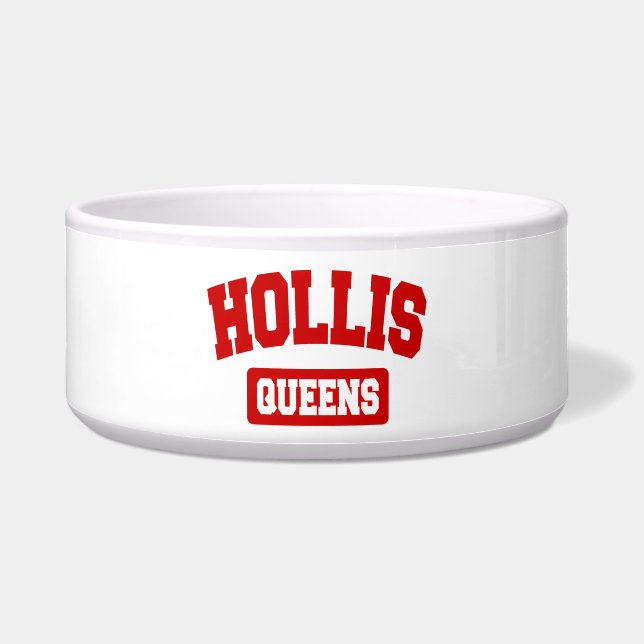 Hollis, Queens, NYC Voerbakje (Voorkant)