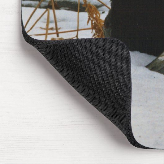 Hollow Birch Muismat (Hoek)