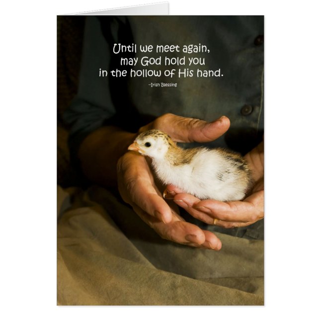 "Hollow of Zijne Kaart" (Voorkant)