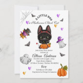 Holloween Black Cat Pumpkin Little Boo Baby showe Kaart (Voorkant)