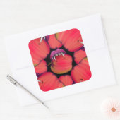 Holloween Vampire Queen Bobbing for Apples Vierkante Sticker (Envelop)