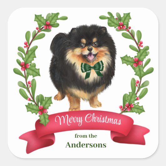 Holly Banner Black Tan Pommeren Kerstmis Vierkante Sticker (Voorkant)