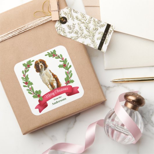 Holly Banner Springer Spaniel Dog Kerstmis Vierkante Sticker (Geschenken)