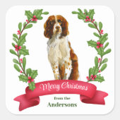 Holly Banner Springer Spaniel Dog Kerstmis Vierkante Sticker (Voorkant)