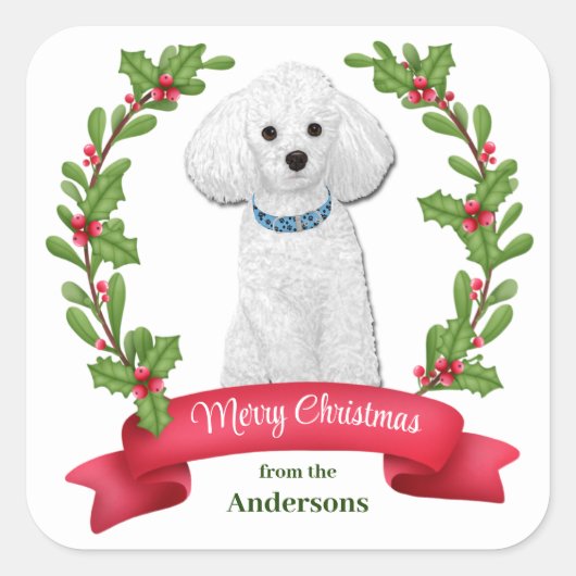 Holly Banner White Poodle Kerstmis Vierkante Sticker (Voorkant)