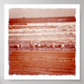 Holly Beach Seagulls Poster (Voorkant)