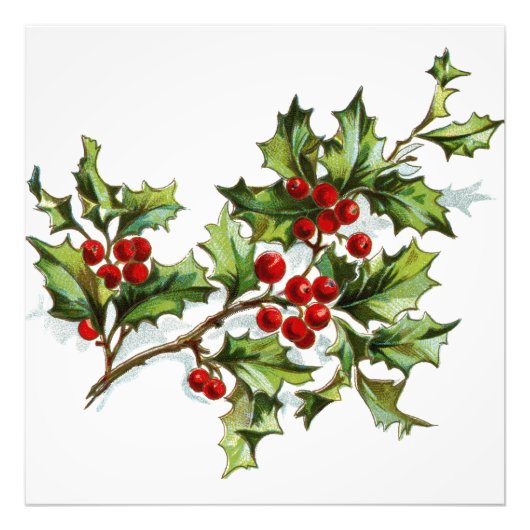 Holly Berries20150801 Foto Afdruk (Voorkant)