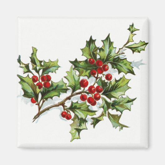 Holly Berries20150801 Magneet (Voorkant)