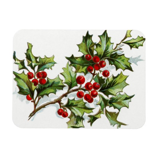 Holly Berries20150801 Magneet (Horizontaal)