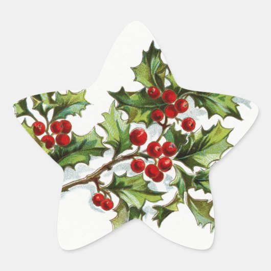 Holly Berries20150801 Ster Sticker (Voorkant)