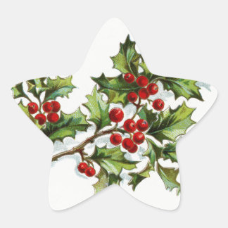Holly Berries20150801 Ster Sticker