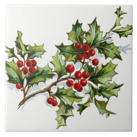 Holly Berries20150801 Tegeltje (Voorkant)