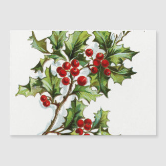 Holly Berries20150802