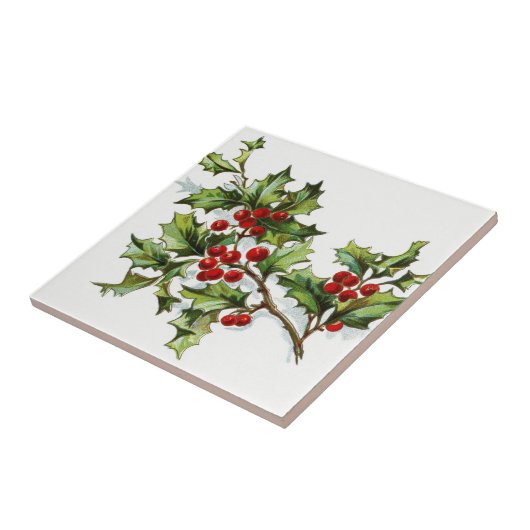 Holly Berries20150802 Tegeltje (Zijkant)