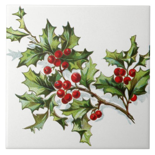 Holly Berries20150802 Tegeltje (Voorkant)