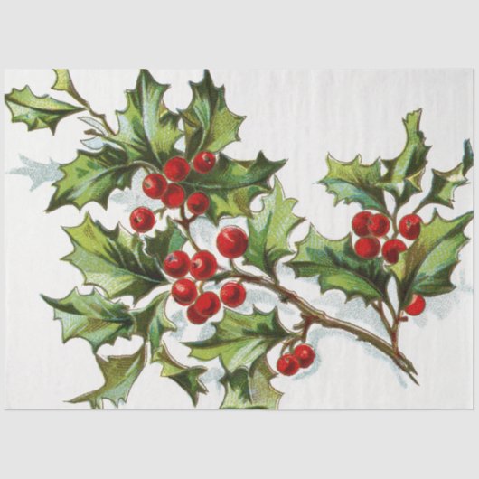 Holly Berries20150802 Tissuepapier (Voorkant)