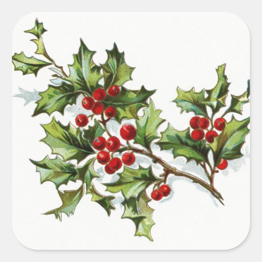 Holly Berries20150802 Vierkante Sticker (Voorkant)