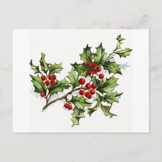 Holly Berries 001 Briefkaart (Voorkant)