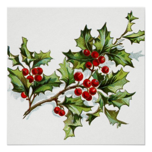 Holly Berries 001 Poster (Voorkant)