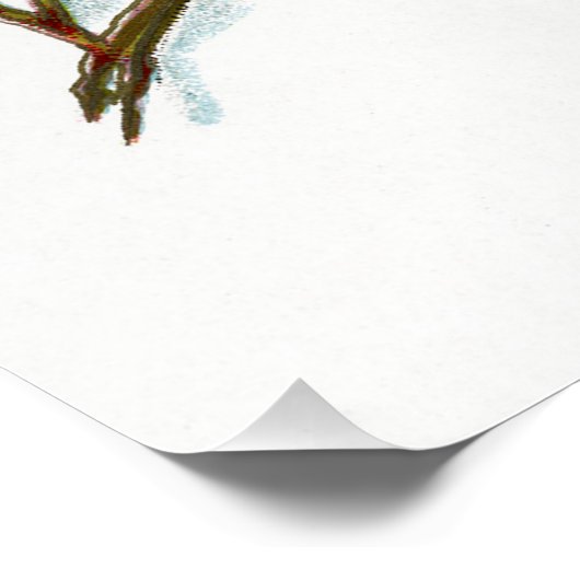 Holly Berries 001 Poster (Hoek)