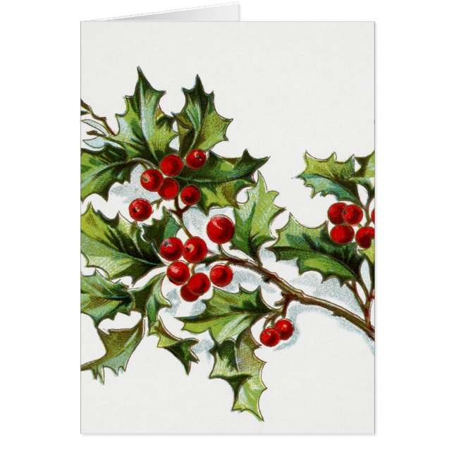 Holly Berries 002 (Voorkant)