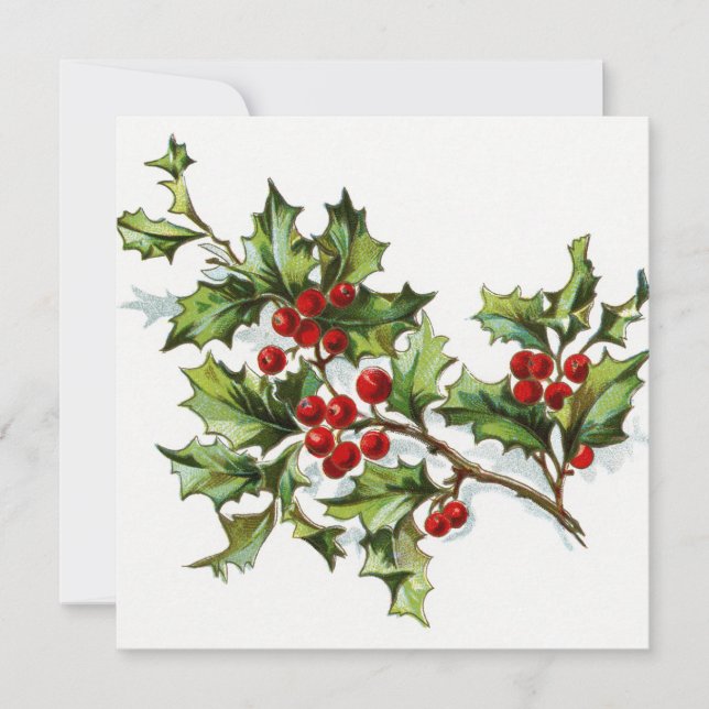 Holly Berries 002 (Voorkant)