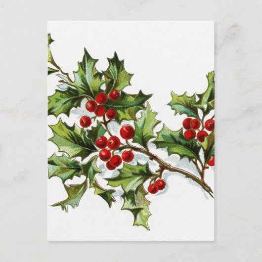 Holly Berries 002 Briefkaart (Voorkant)