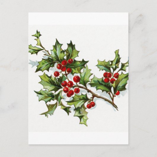 Holly Berries 002 Briefkaart (Voorkant)