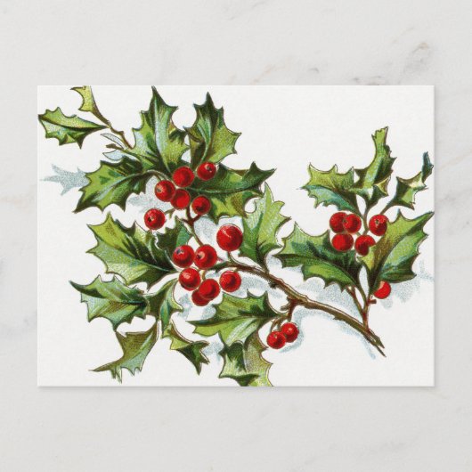 Holly Berries 002 Briefkaart (Voorkant)