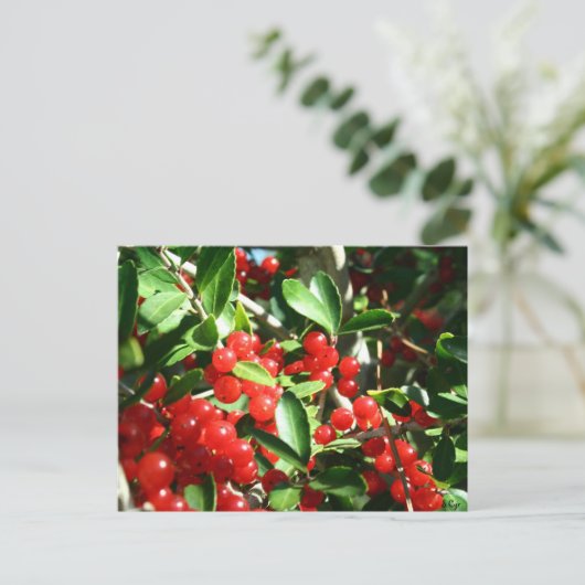 Holly Berries Briefkaart (Staand voorkant)