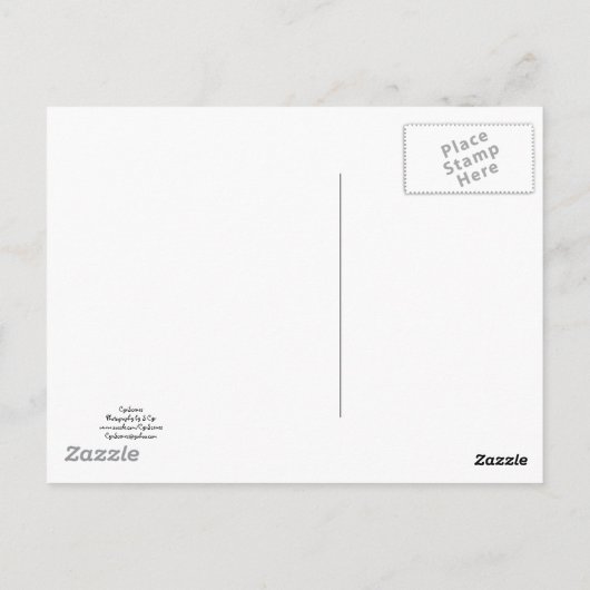 Holly Berries Briefkaart (Achterkant)