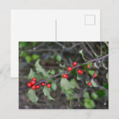 Holly Berries Briefkaart (Voorkant / Achterkant)
