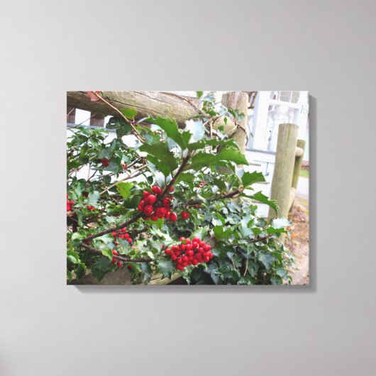 Holly Berries en Fence - Martha's wijngaard Canvas Afdruk (Voorkant)