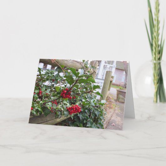 Holly Berries en Fence - Martha's wijngaard Kaart (Voorkant)