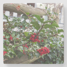 Holly Berries en Fence - Martha's wijngaard Stenen Onderzetter