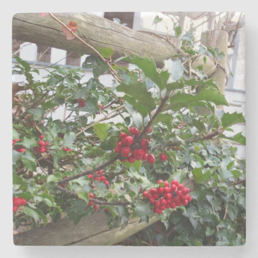 Holly Berries en Fence - Martha's wijngaard Stenen Onderzetter (Voorkant)