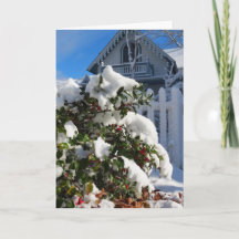 Holly Berries in Snow - Martha's wijngaard