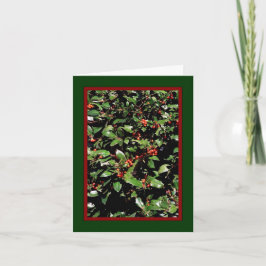 'Holly & Berries' Kerstkaart - "Groeten van het se Feestdagen Kaart