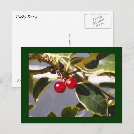 Holly Berry Briefkaart (Voorkant / Achterkant)