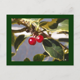 Holly Berry Briefkaart