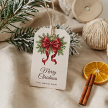 Holly Bes Elegante Kerstmis Rode Strik